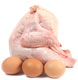 Will more protein in my diet increase my metabolism?